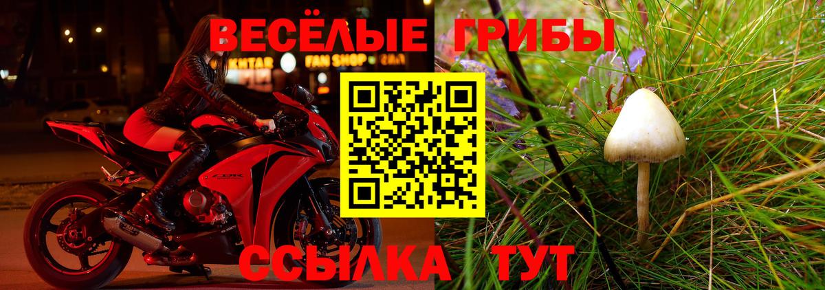цена наркотик  Псилоцибиновые грибы Psilocybine cubensis  Вход с VPN  Галлюциногенные грибы MAGIC MUSHROOMS  Краснознаменск 
